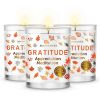 Magnificent 101 Long Lasting Set of 3 Gratitude Smudge Candles | 3.5 Oz Each - 42 Hour Burn |Soy Wax Candle for House Energy Cleansing, Meditation & M