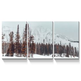 3 Panels Framed Winter Forest Canvas Wall Art Decor,3 Pieces Mordern Canvas Decoration Painting for Office,Dining room,Living room, Bedroom Decor-Read