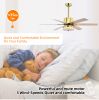 52'' Modern Ceiling Fans with Remote,Wood Ceiling Fan with Lights,LED Ceiling Fan Light with 5 Blade,3 Speed AC Motor Indoor Ceiling Fan for Patio,Liv