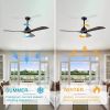 52" Ceiling Fan with Lights Remote Control,Quiet DC Motor 3 Blade Ceiling Fans 6 Speed Levels,Reversible Ceiling Fan, for Patio Living Room, Bedroom,