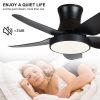 42 Inch Ceiling Fan with LED Lights(Black)