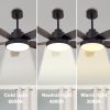 46 Inch Ceiling Fan with LED Lights(Black)