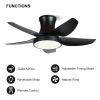 42 Inch Ceiling Fan with LED Lights(Black)