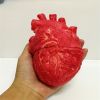 Halloween Decor, Halloween Props, Realistic Trick Toys, Horror Props, Heart-breaking Props, Simulated Heart