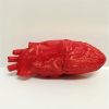 Halloween Decor, Halloween Props, Realistic Trick Toys, Horror Props, Heart-breaking Props, Simulated Heart