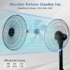 Simple Deluxe 14.5" Adjustable 12 Levels Speed Pedestal Stand Fan with Remote Control for Indoor, Home, Office and College Dorm Use, 90 Degree Horizon