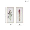 Dried Flower 2-piece Shadow Box Wall Decor Set