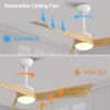 52 Inch Minimalist Ceiling Fan Light With 6 Speed Remote Energy-saving DC Motor