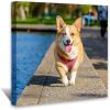 Customize Canvas Prints with Your Photo Canvas Wall Art- Personalized Canvas Picture, Customized To Any Style, US Factory Drop Shipping,Gifts for Fami